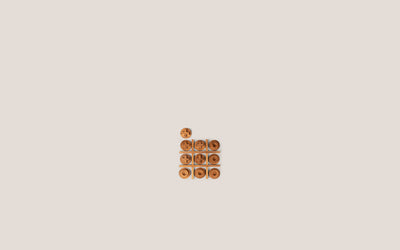 The Game